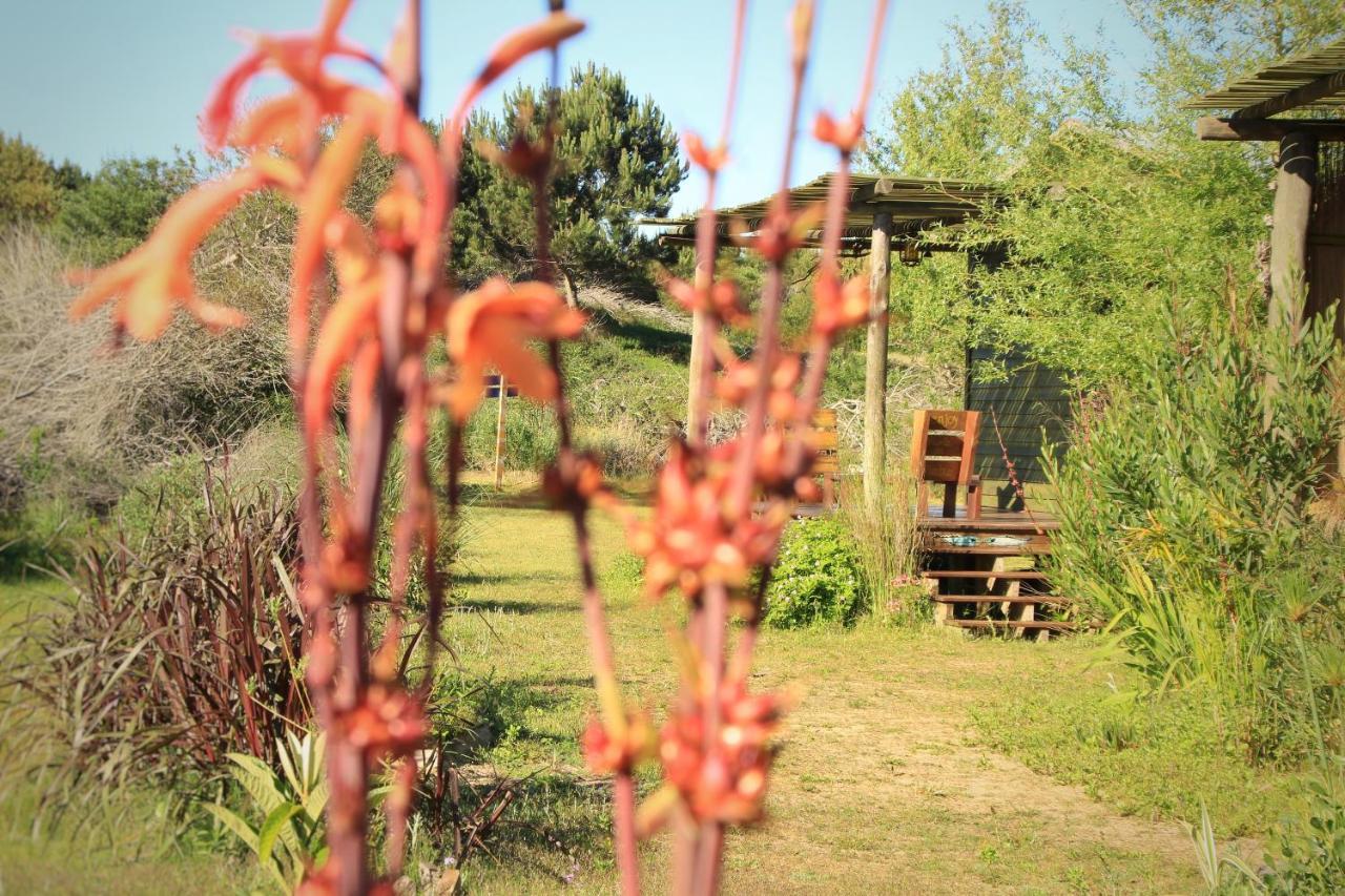 Angelo Guest House ปุนตาเดลดีอาโบล ภายนอก รูปภาพ